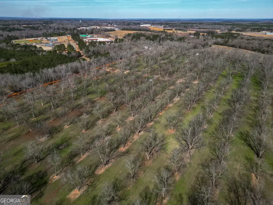 0 Old Hwy 19 South, Ellaville, GA 31806 - Image #2