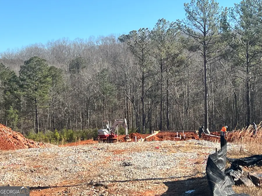 LOT 16 Piney Wood Drive #16, Newnan, GA 30263 - #2