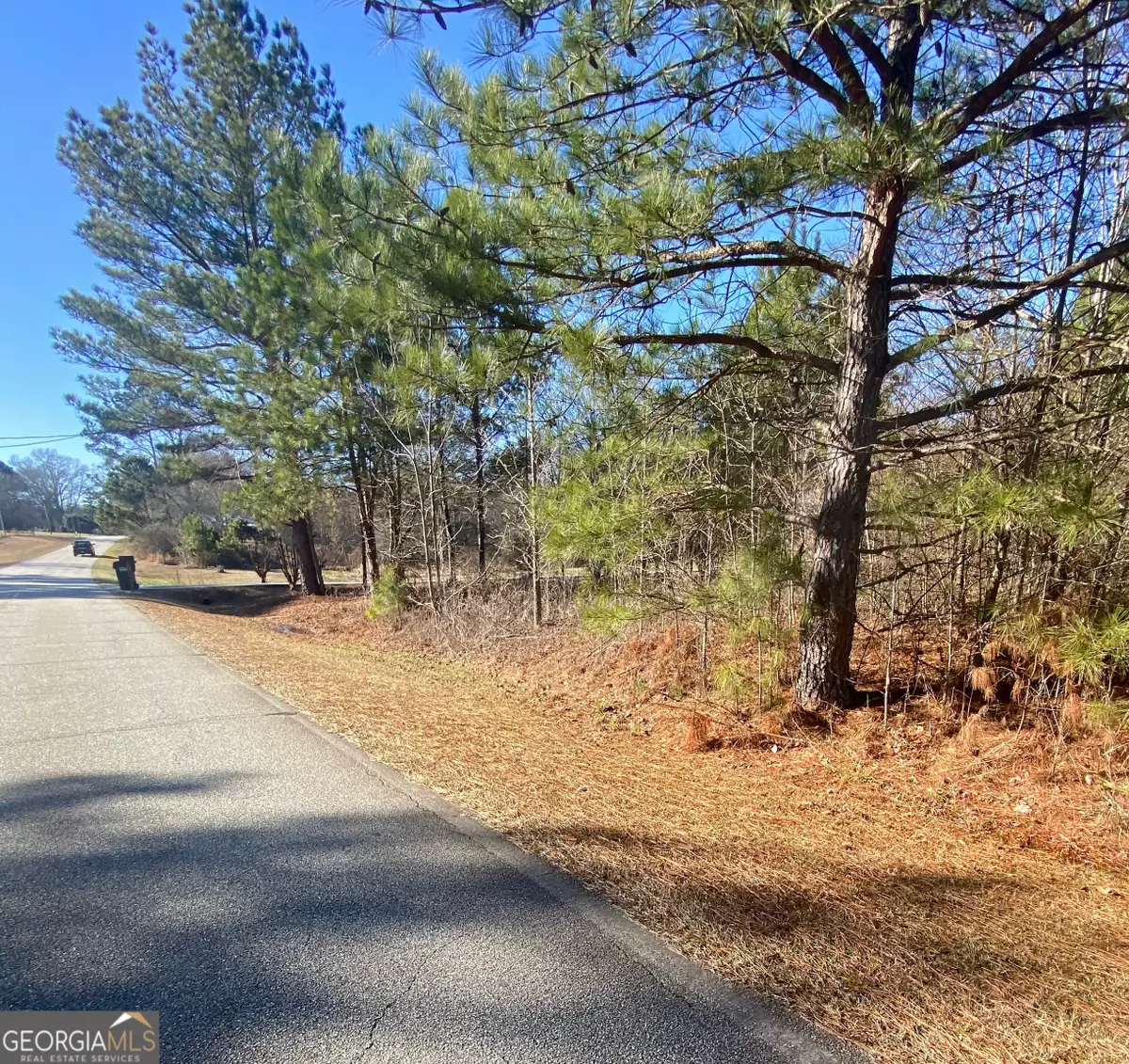 0 Line Creek Road Lot 2, Senoia, GA 30276 - Image #1