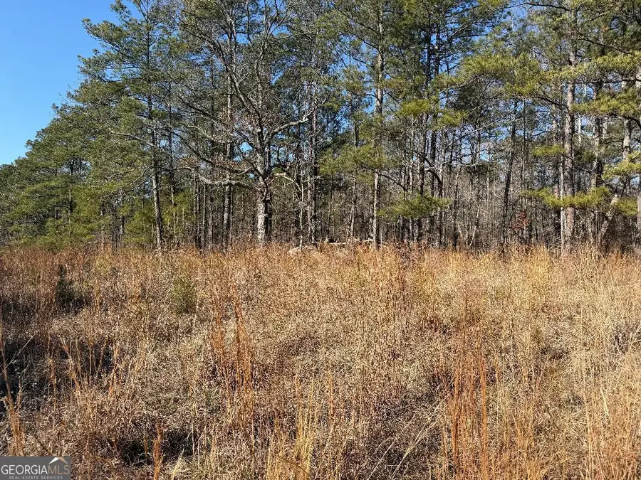 0 Haines Road, Franklin, GA 30217 - #2