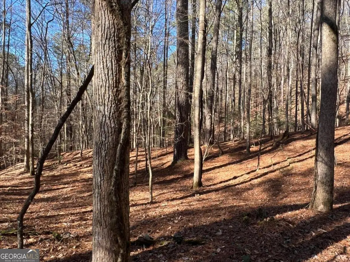 18 Lily Lane, Ellijay, GA 30540 - #1