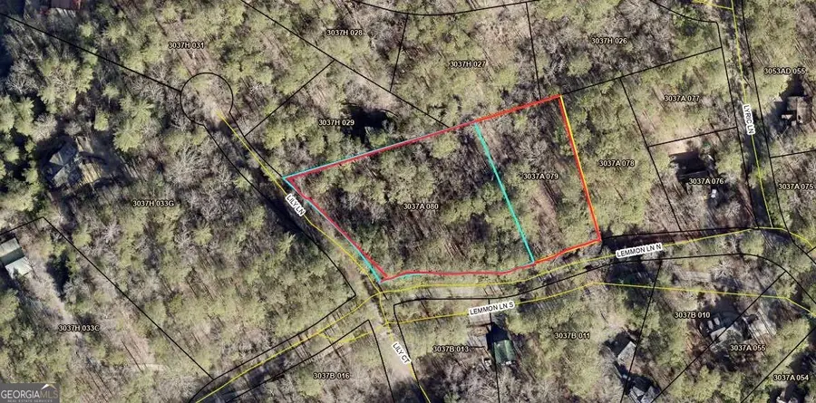 18 Lily Lane, Ellijay, GA 30540 - #3