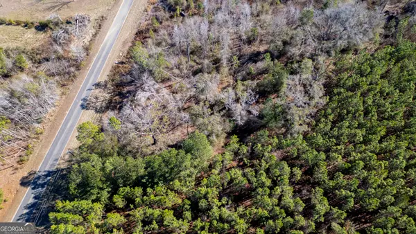 0 Shenandoah Road, Alma, GA 31510