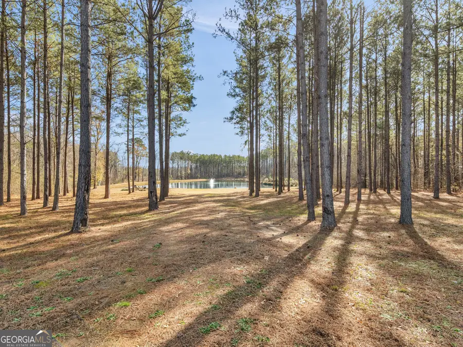 307 Weldon Lake Road, Milner, GA 30257 - #2