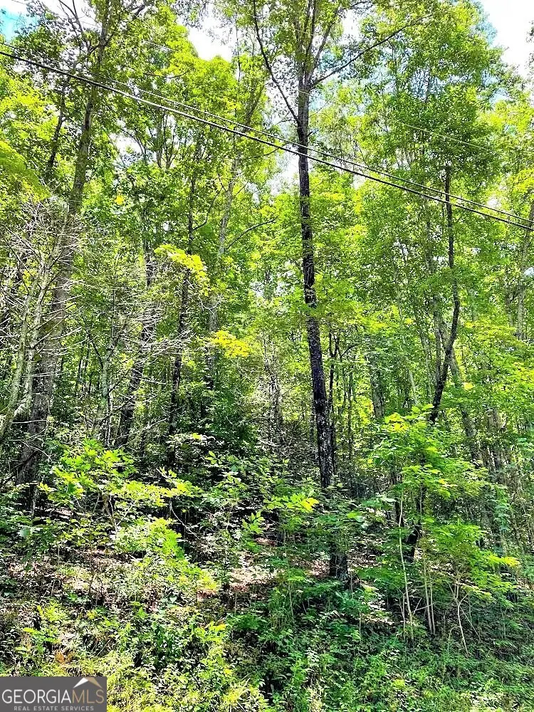 0 Blue Ridge Gap Road, Rabun Gap, GA 30568 - #1