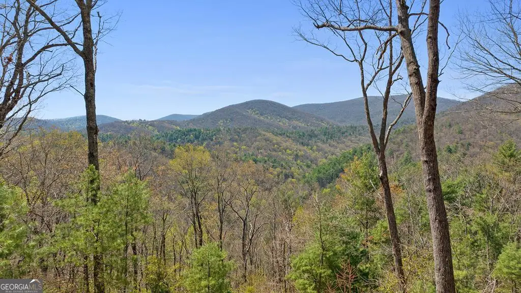 0 Big Creek Road, Ellijay, GA 30536 - #1
