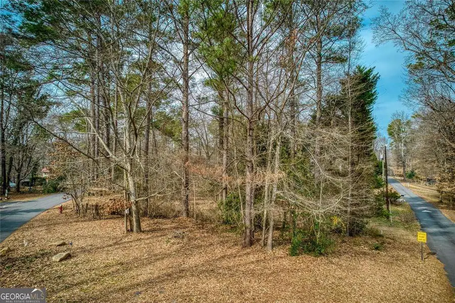 114 Cedar Street, Roswell, GA 30075 - Image #3