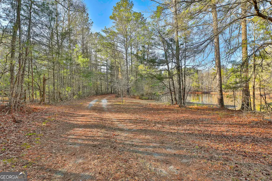 161 Mockingbird Lane, Brooks, GA 30205 - Image #3