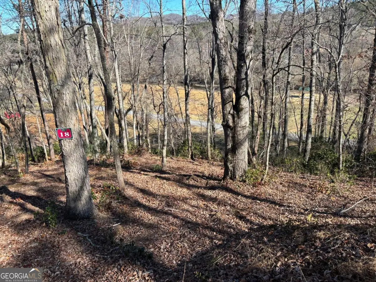 LOT 18 Brasstown Trails, Warne, NC 28909 - Image #1