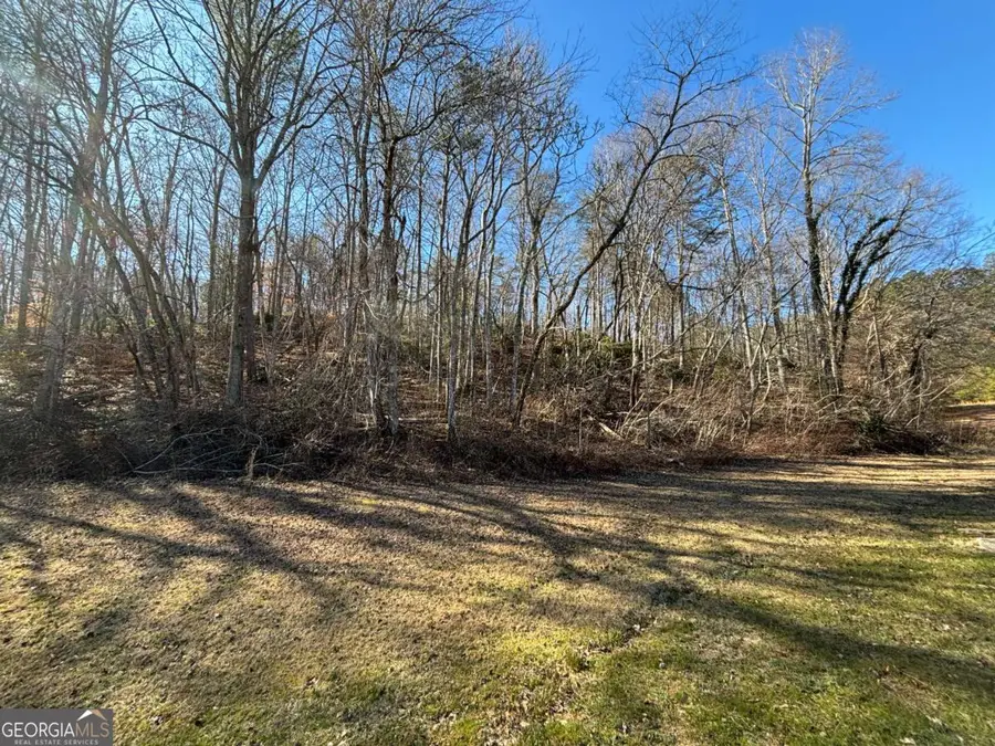 LOT 18 Brasstown Trails, Warne, NC 28909 - Image #2