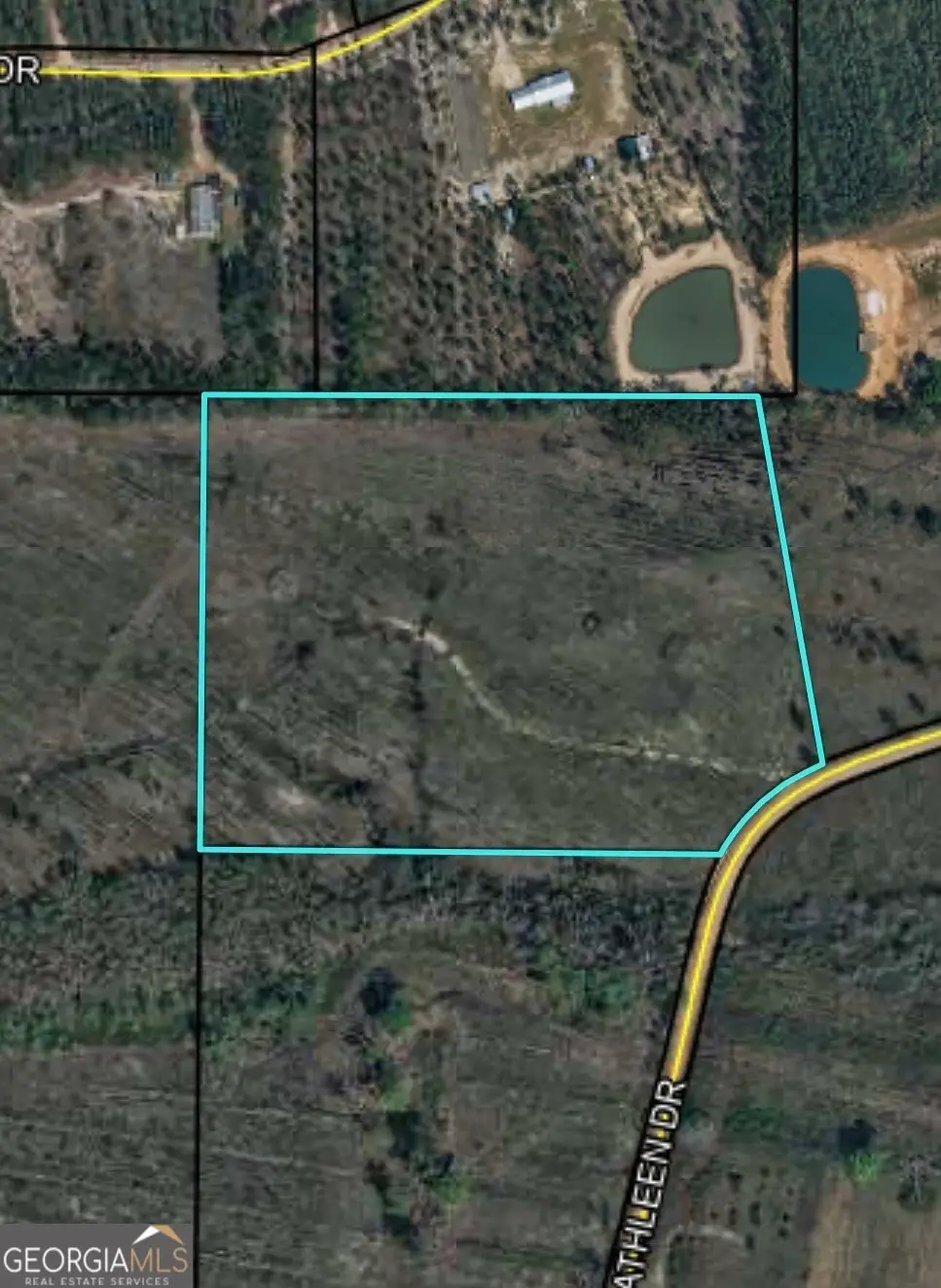 3587 Cathleen Drive, Patterson, GA 31557 - #1