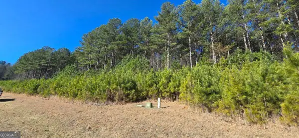 LOT 41 Deyton Drive, Blairsville, GA 30512
