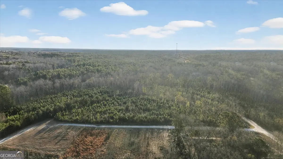 0 Greenhill Drive, Sardis, GA 30456 - #1