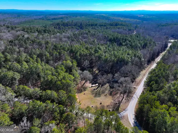 125 George Green Road (22 +/- Acres), Tallapoosa, GA 30176