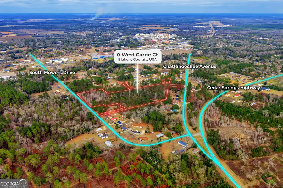 0 West Carrie Ct, Blakely, GA 39823 - #2