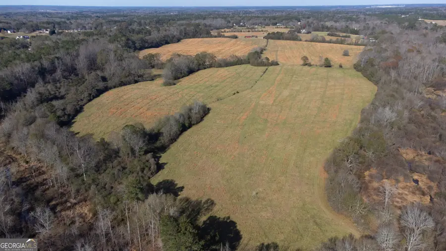 0 Steele Road, Griffin, GA 30223 - Image #3