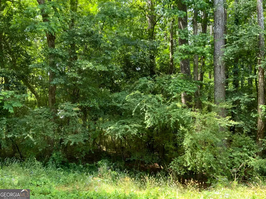 1140 Caboose Court, Greensboro, GA 30642 - Image #2