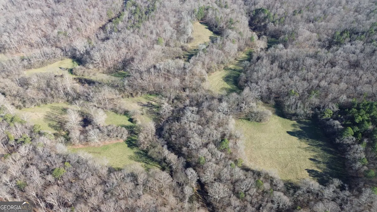 0 Yonah Homer Road, Alto, GA 30510 - Image #1