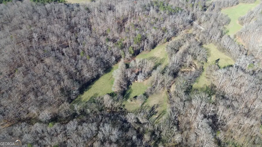 0 Yonah Homer Road, Alto, GA 30510 - Image #3