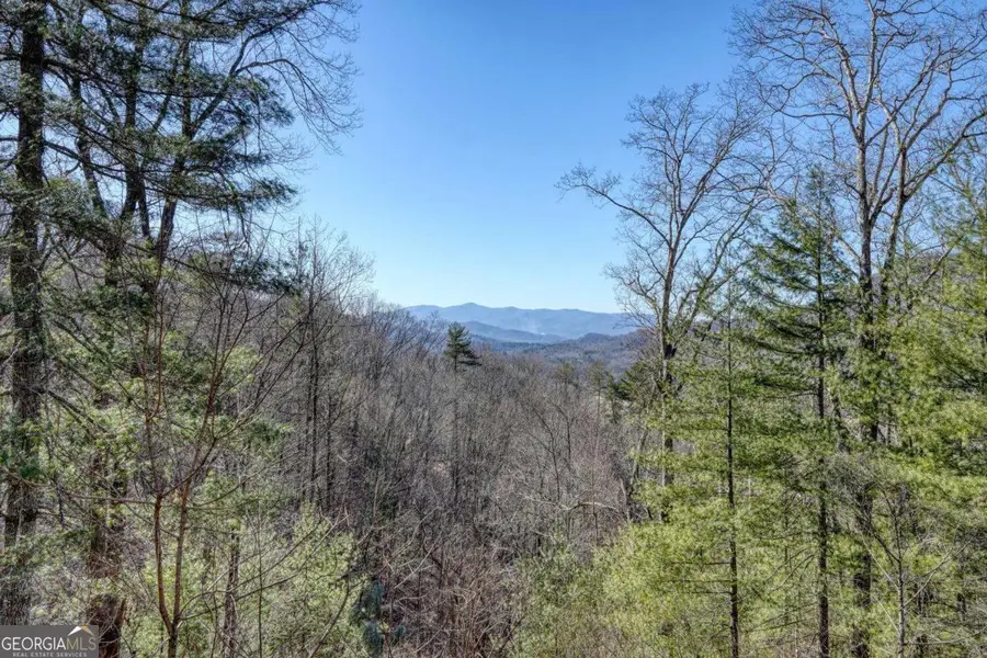 310 Barefoot Hills Road, Hiawassee, GA 30546 - #2