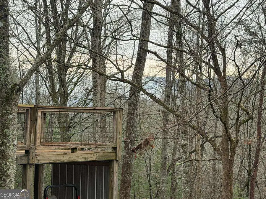 636 Bear Paw Trail, Blue Ridge, GA 30513 - Image #3