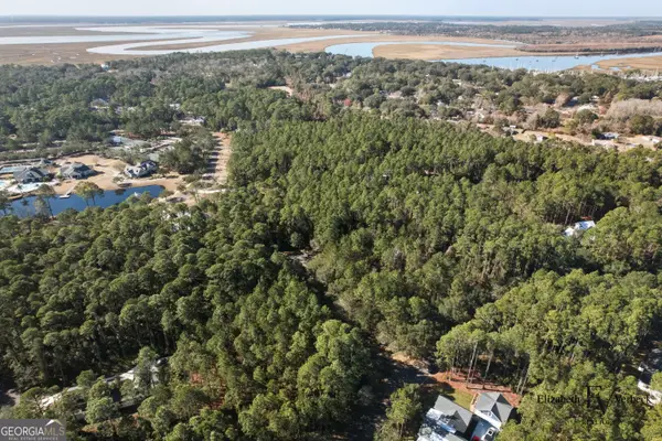 V/L 238 Lateral Buoy Lane, St Marys, GA 31558