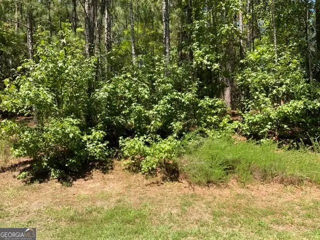 1101 Anchor Bay Circle, Greensboro, GA 30642 - Image #3