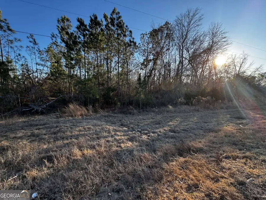 0 Hwy 107, Denton, GA 31532 - #3