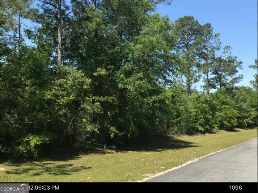 0 Jim Hammock Drive, McRae Helena, GA 31055 - #3