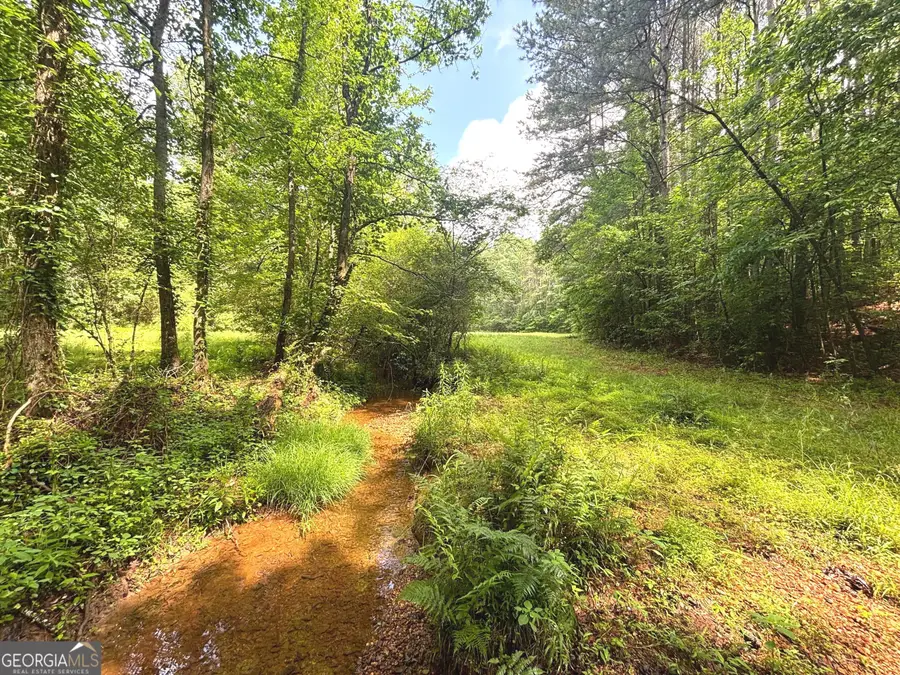 485 Debord Drive #LOT 1, Waleska, GA 30183 - #2