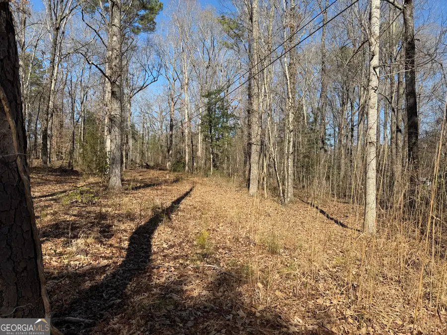 697 Tomochichi Road, Griffin, GA 30223 - Image #2