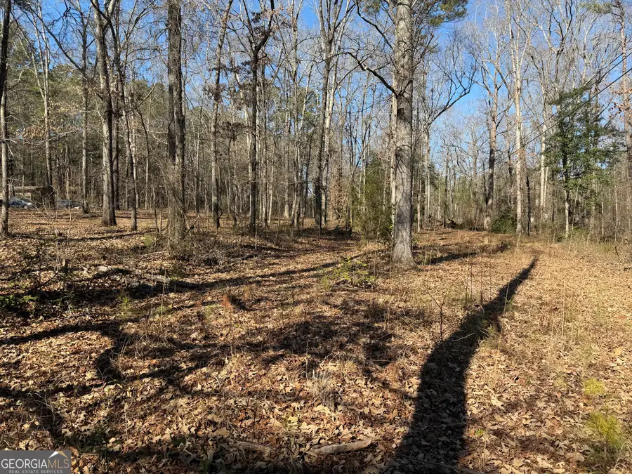 697 Tomochichi Road, Griffin, GA 30223 - Image #3