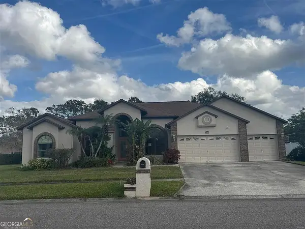 3904 Hidden Spring Place, Valrico, FL 33596