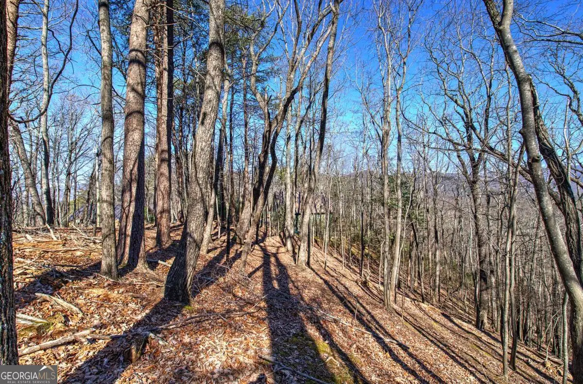 0 Walnut Mountain Road, Ellijay, GA 30536 - #1