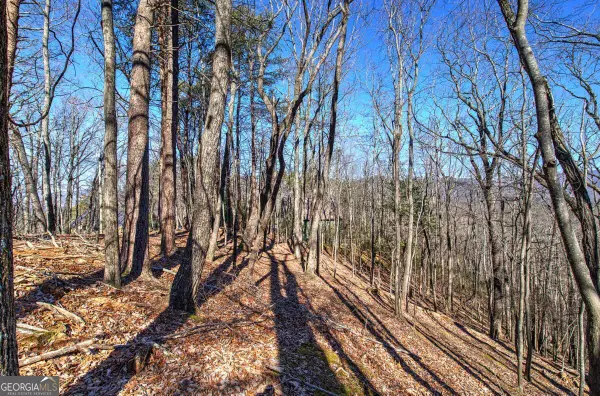 0 Walnut Mountain Road, Ellijay, GA 30536