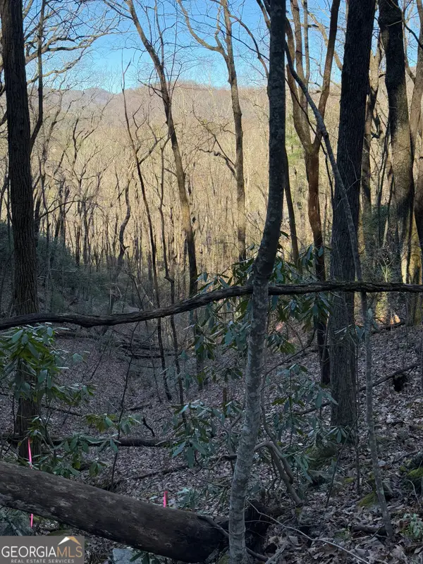 0 ARBUTUS TRAIL Arbutus Trail, Clayton, GA 30525