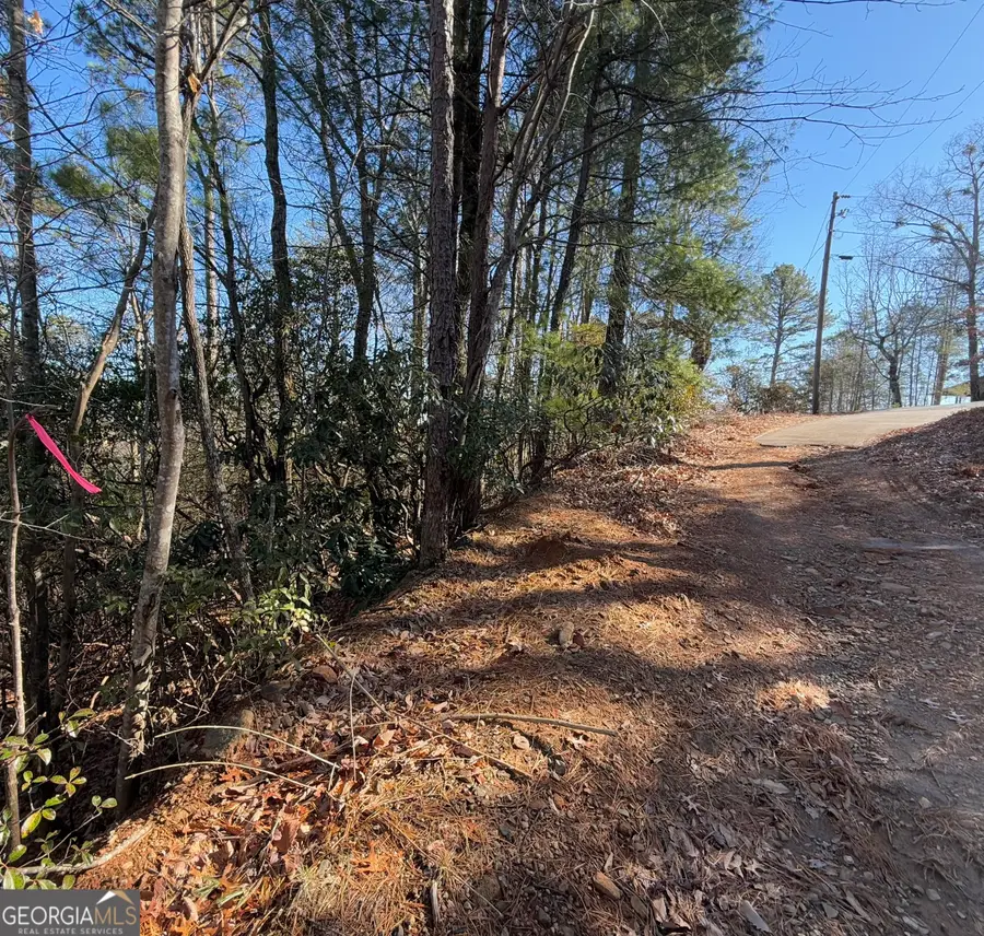 0 Confederate Drive #LOT 574, Clayton, GA 30525 - Image #2