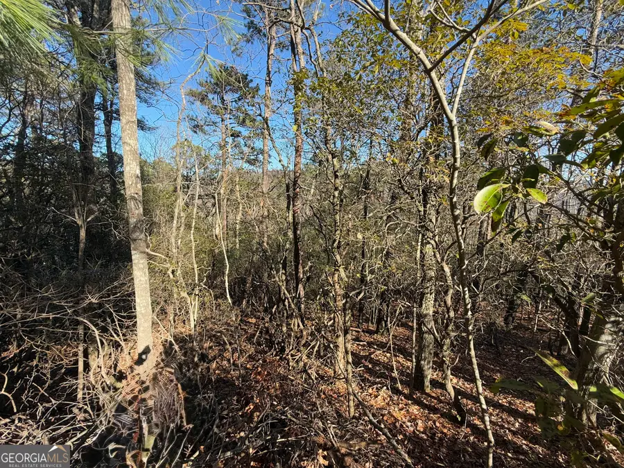 0 Confederate Drive #LOT 574, Clayton, GA 30525 - Image #3