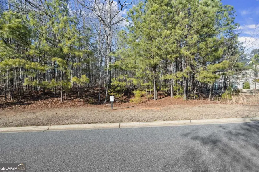 272 Traditions Drive, Alpharetta, GA 30004 - Image #3