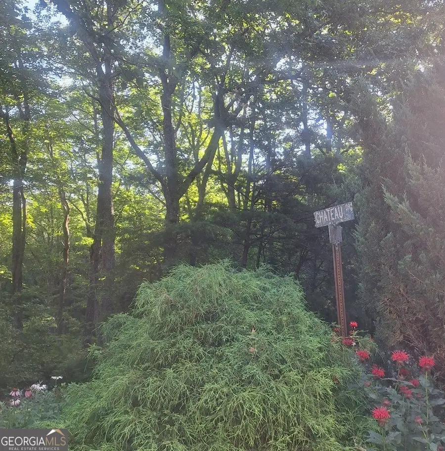 9 Cook Mountain Drive, Blairsville, GA 30512 - Image #3