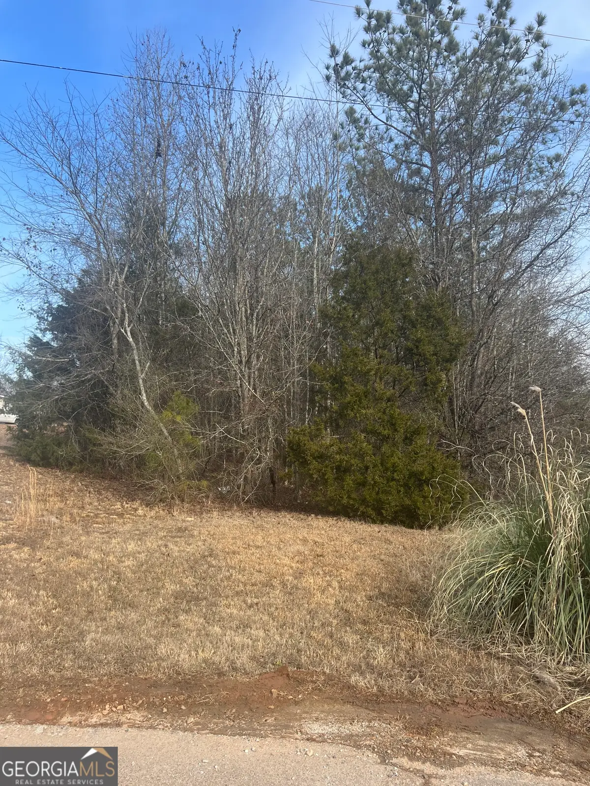 198 Gregory Drive, Martin, GA 30557 - Image #1