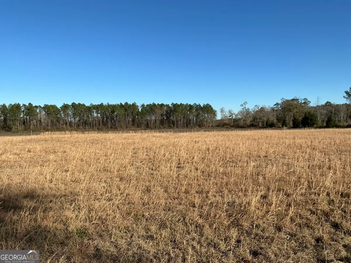 0 Tract 1 - Little Hurricane Creek Rd, Waycross, GA 31503 - Image #1