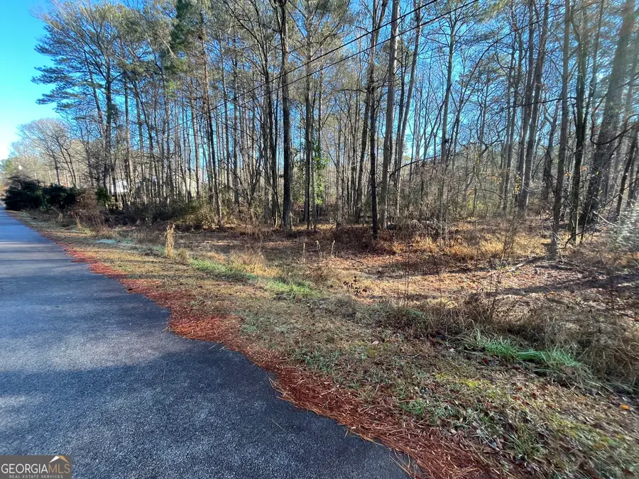 0 Oak Leaf Drive, Stockbridge, GA 30281 - Image #2