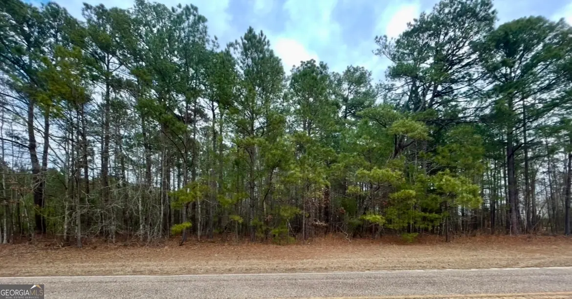 0 Midway Road, Barnesville, GA 30204 - Image #1