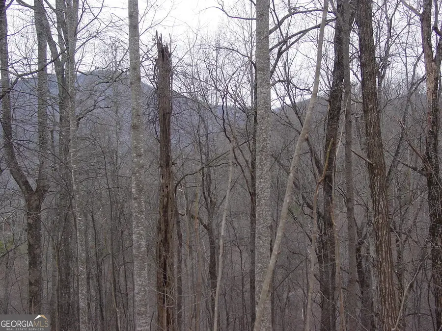 #16 Roaring Ridge, Hiawassee, GA 30546 - #2