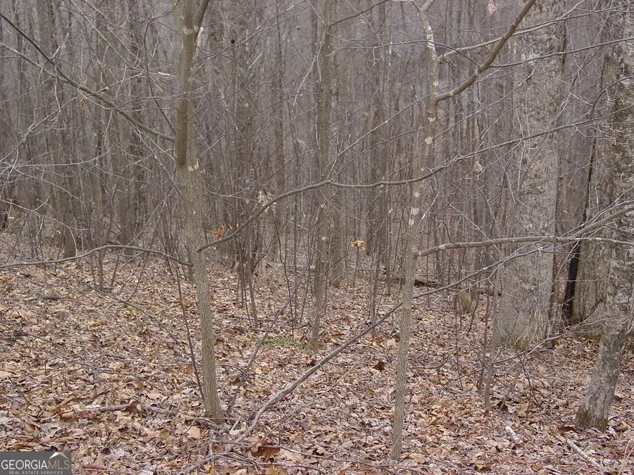 #17 Roaring Ridge, Hiawassee, GA 30546 - #2