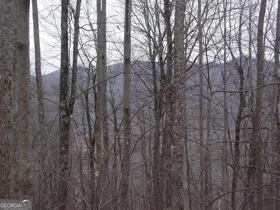 #17 Roaring Ridge, Hiawassee, GA 30546 - #3
