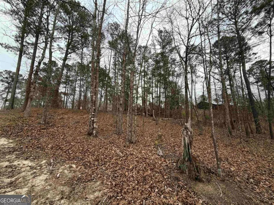 LOT 123 Lookout Trail, Sparta, GA 31087 - Image #3