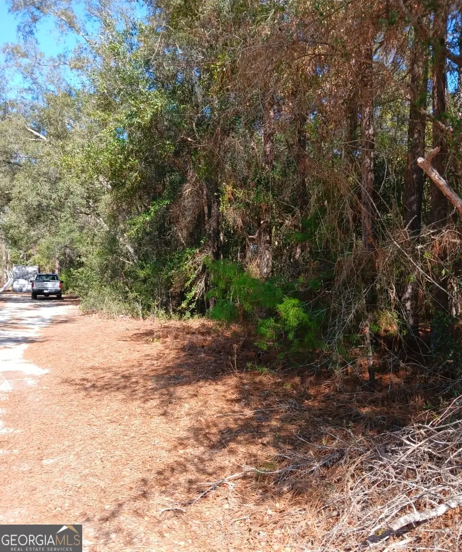 0-LOT 1 Owen Spatcher Road #LOT 1, Folkston, GA 31537 - #3