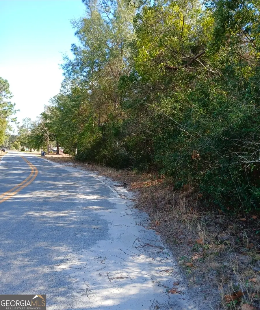 0-LOT 2 Owen Spatcher Road, Folkston, GA 31537 - #2